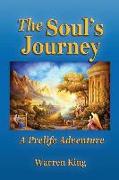The Soul's Journey: A Pre-Life Adventure - Narayan's Preparation for his Next Earthly Life