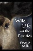 Wild Life on the Rockies