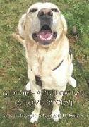 Gideon - A Yellow Lab: A Love Story