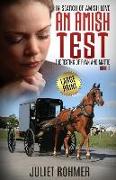 An Amish Test (Large Print): The Testing of Ryan and Mattie