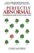 Perfectly Abnormal: Uncovering the Image of God in Chronic Illness