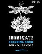 Intricate Coloring Book For Adults Vol 2