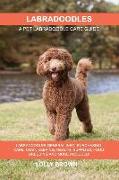 Labradoodles: Labradoodles General Info, Purchasing, Care, Cost, Keeping, Health, Supplies, Food, Breeding and More Included! A Pet