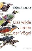 Das wilde Leben der Vögel