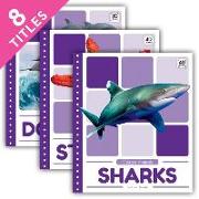 Ocean Animals Set