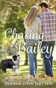 Chasing Bailey: A Lake Harriet Novel