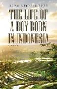 The Life of a Boy Born in Indonesia