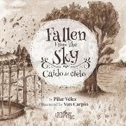 Fallen From The Sky: Caído del Cielo