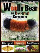 Woolly Bear the Banded Caterpillar: Life Cycle, Friends and Adventures