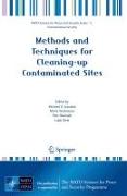 Methods and Techniques for Cleaning-up Contaminated Sites