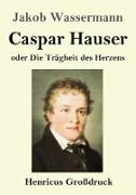 Caspar Hauser oder Die Trägheit des Herzens (Großdruck)