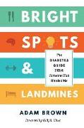 Bright Spots & Landmines: The Diabetes Guide I Wish Someone Had Handed Me (Full Color Edition)