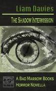 The Shadow Intermission: an urban horror novella