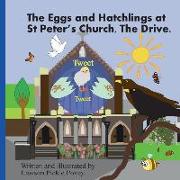 The Eggs and Hatchling at St Peters Church the Drive