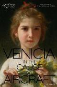 Venicia in the Cause of Aircraft