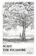 Scale the Sycamore