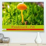 Wunderwerk - Pilz Eine Reise über den Waldboden (Premium, hochwertiger DIN A2 Wandkalender 2020, Kunstdruck in Hochglanz)