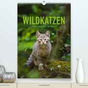 Wildkatzen - Kleine Samtpfoten des Waldes (Premium, hochwertiger DIN A2 Wandkalender 2020, Kunstdruck in Hochglanz)