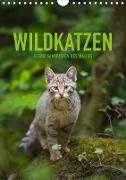 Wildkatzen - Kleine Samtpfoten des Waldes (Wandkalender 2020 DIN A4 hoch)