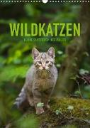 Wildkatzen - Kleine Samtpfoten des Waldes (Wandkalender 2020 DIN A3 hoch)