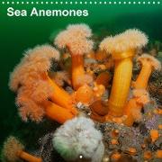 Sea Anemones (Wall Calendar 2020 300 × 300 mm Square)
