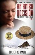 An Amish Decision (Large Print): The Book of Eli and Ryan