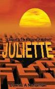 Juliette: A Sequel To The Making of A Madman