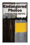Endangered Photos: Telephone Poles #223-333