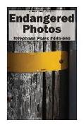 Endangered Photos: Telephone Poles #445-555