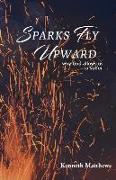 Sparks Fly Upward: Why God Allows Us to Suffer