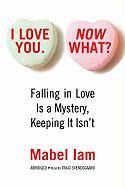 I Love You. Now What?: Falling in Love Is a Mystery, Keeping It Isn't