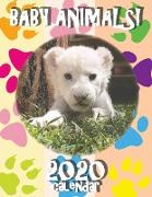 Baby Animals! 2020 Calendar