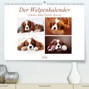 Der Welpenkalender - Cavalier King Charles Spaniel (Premium, hochwertiger DIN A2 Wandkalender 2020, Kunstdruck in Hochglanz)