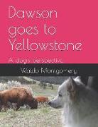 Dawson goes to Yellowstone