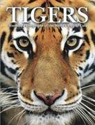 Tigers