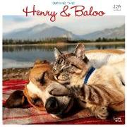 Henry & Baloo Our Wild Tails 2020 Square