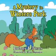 A Mystery in Winters Park