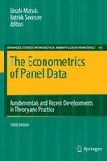 The Econometrics of Panel Data