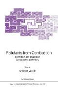 Pollutants from Combustion