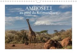 Amboseli (Calendrier mural 2020 DIN A4 horizontal)