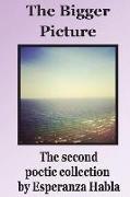 The Bigger Picture: the second poetic collection
