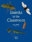 Insects in the Classroom: Drive your students buggy