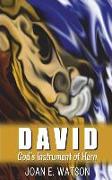 David: God's Instrument of Horn