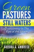 Green Pastures, Still Waters: Overcoming in The Eye of the Storm