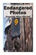 Endangered Photos: Telephone Poles #334-444