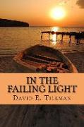 In the Failing Light: a memoir of love and cancer