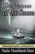 The Purpose of This Storm: Understanding the good in a God-directed storm