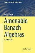 Amenable Banach Algebras