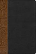 Rvr 1960 Biblia de Estudio Arcoiris, Tostado/Negro Símil Piel Con Índice