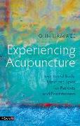 Experiencing Acupuncture: Journeys of Body, Mind and Spirit for Patients and Practitioners